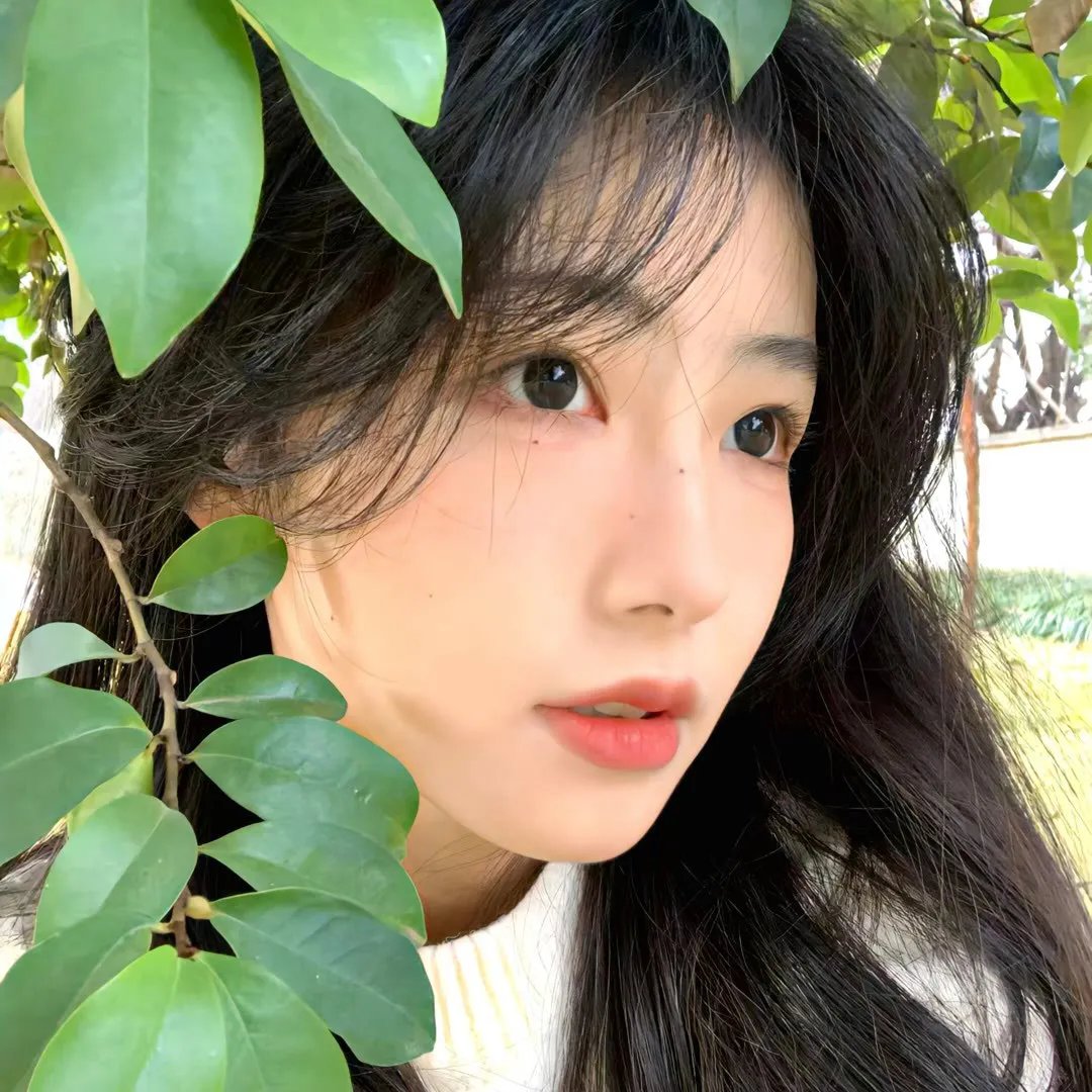 我的新上司是天然呆