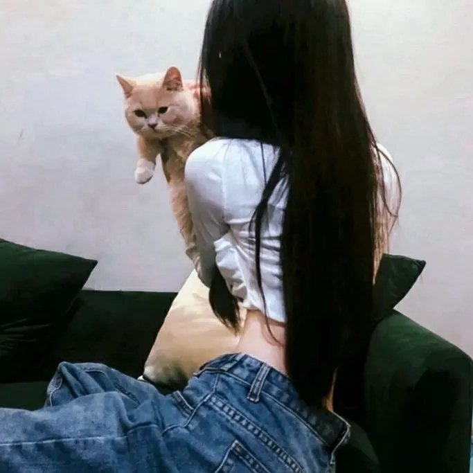 脂粉七雄